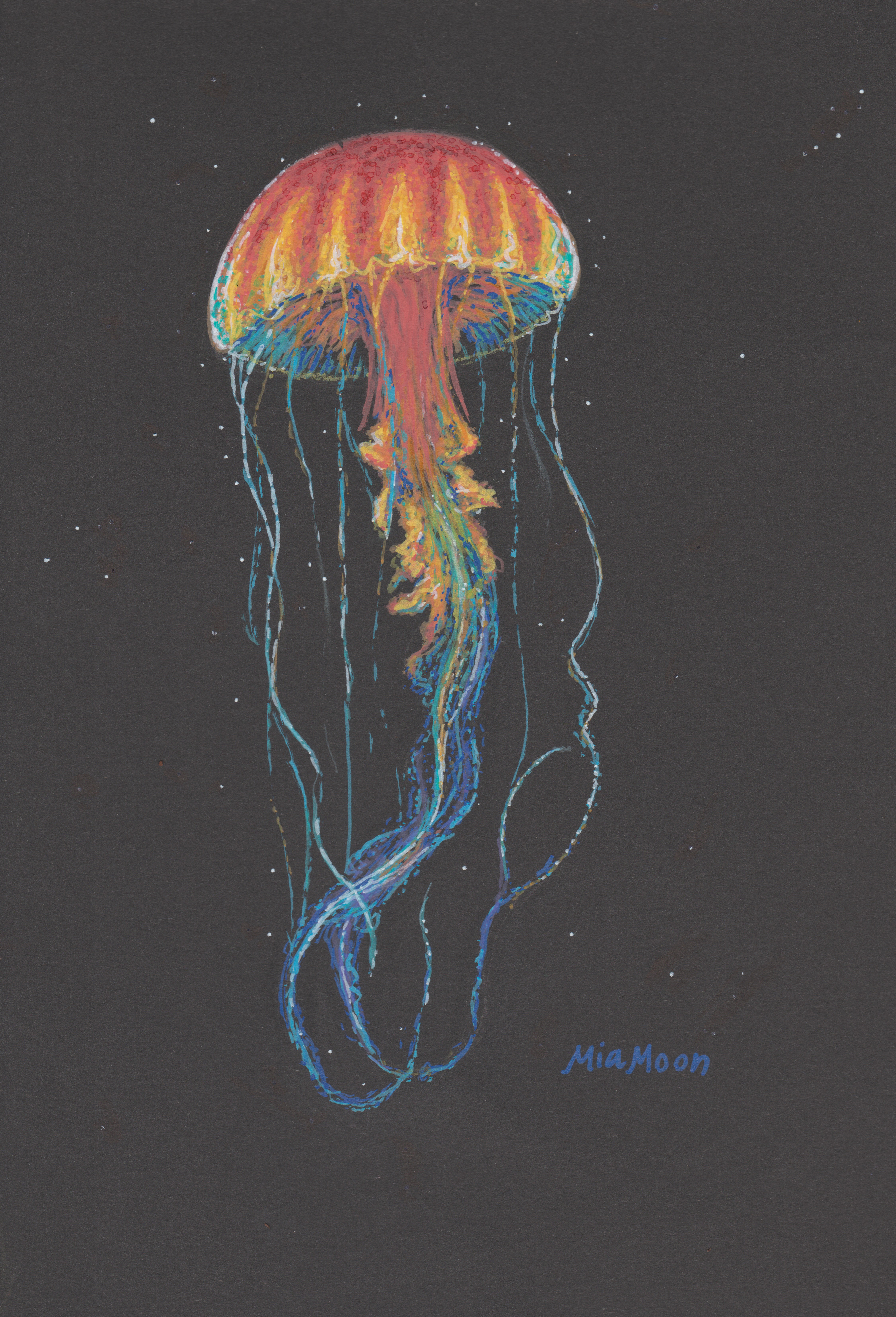 Jellyfish 2