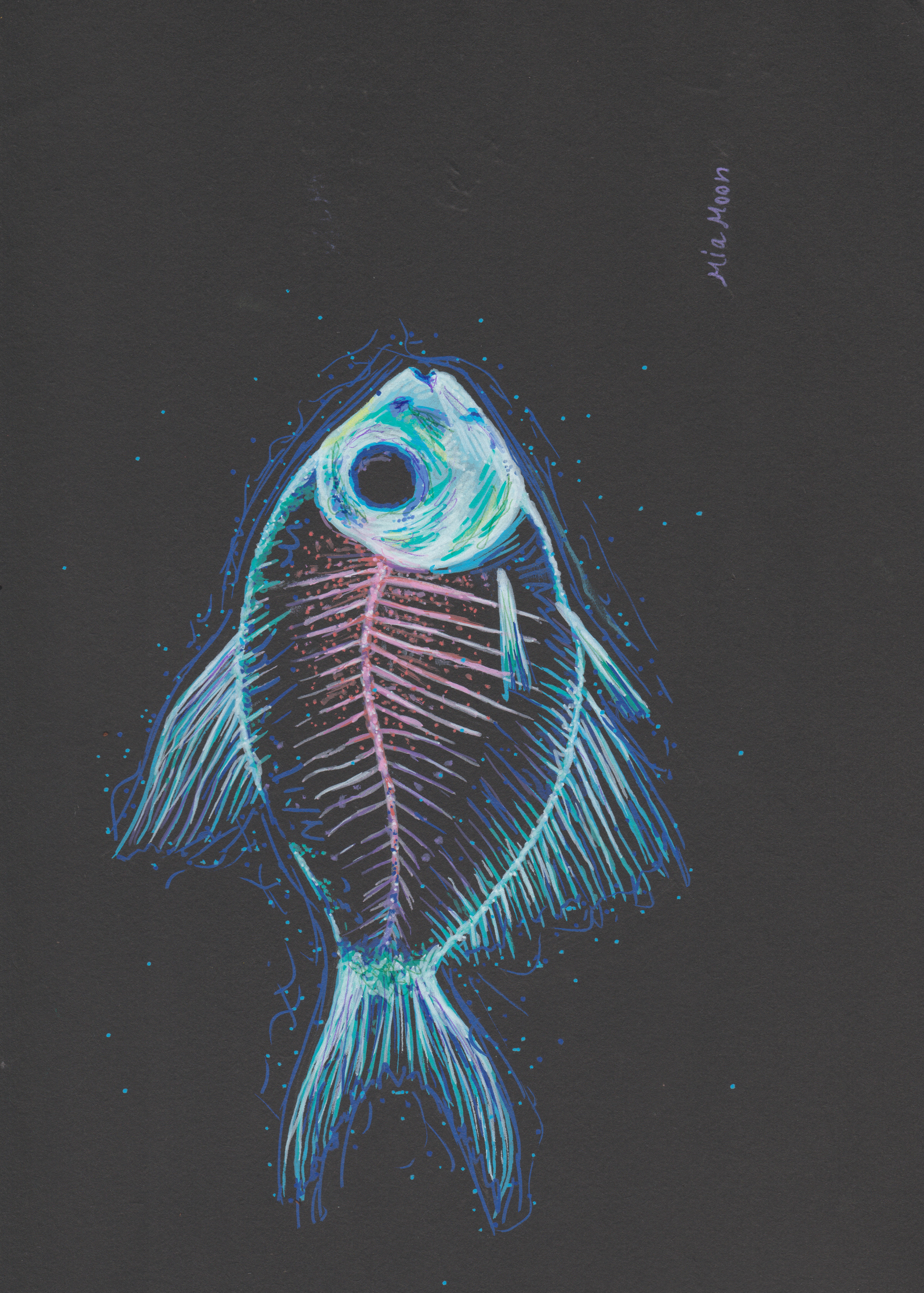 Fish X-ray