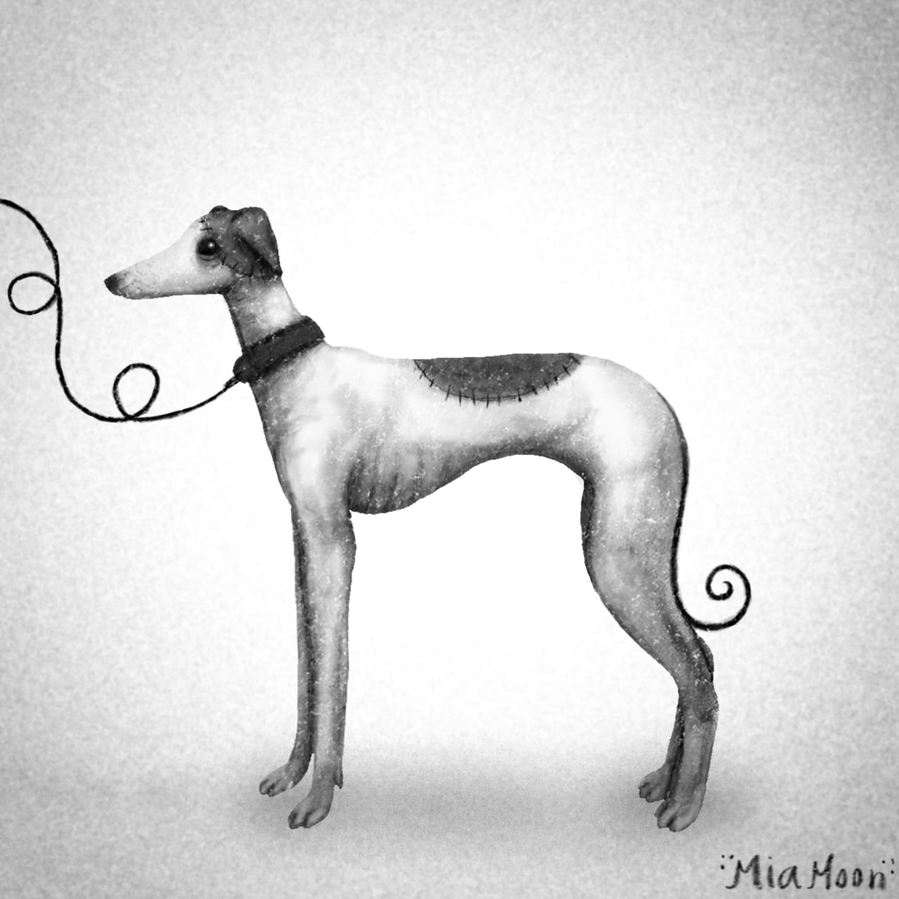 Greyhound