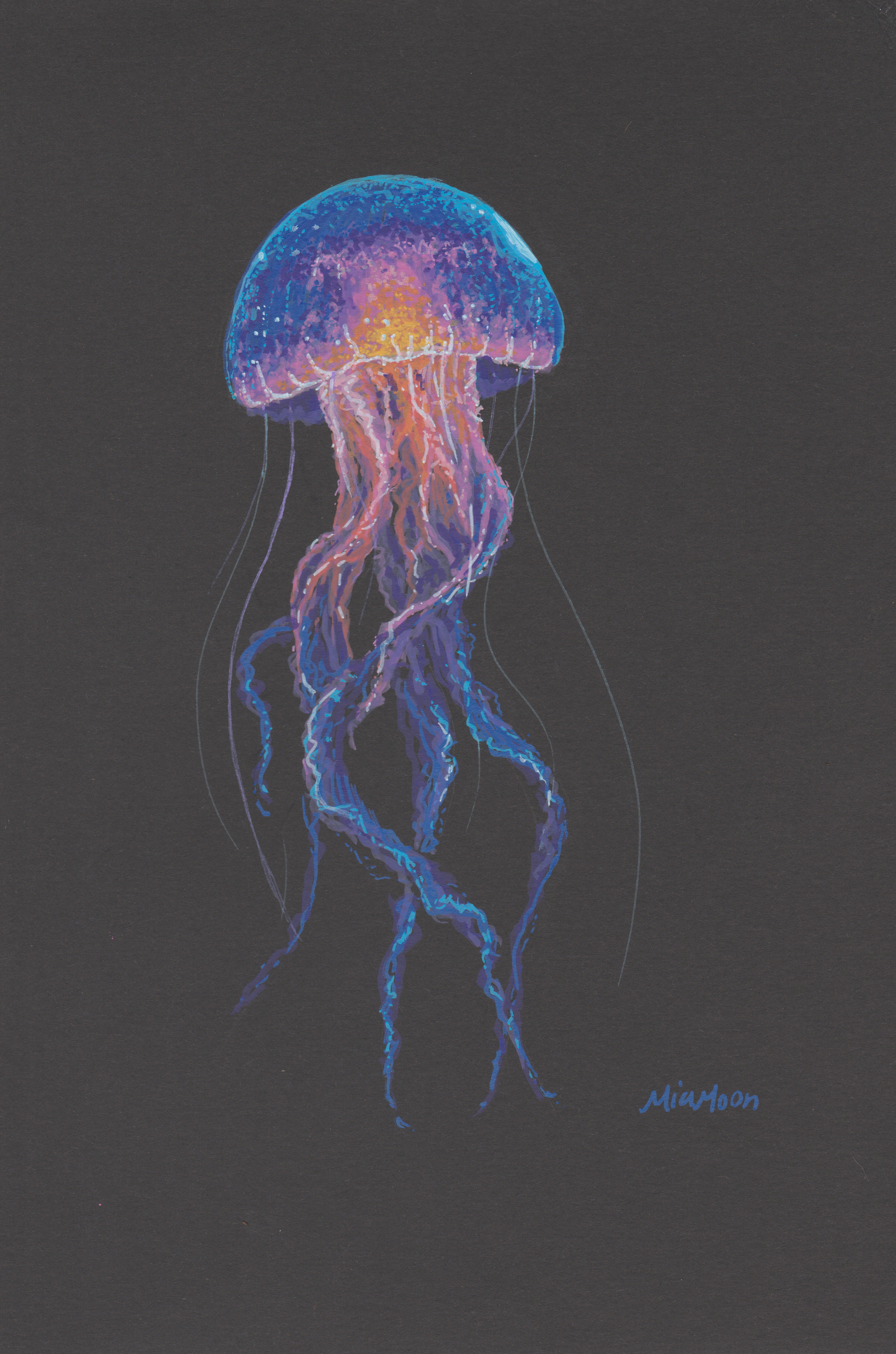 Jellyfish 1